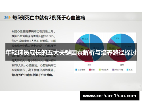 年轻球员成长的五大关键因素解析与培养路径探讨